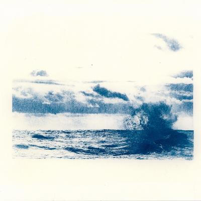 2023 12 31 derniere session de cyanotypes 162957 8 4web