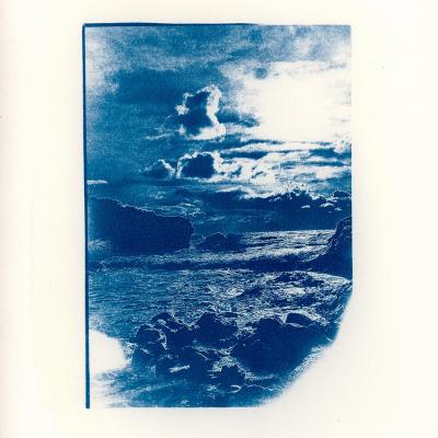 2023 12 31 derniere session de cyanotypes 162958 4web