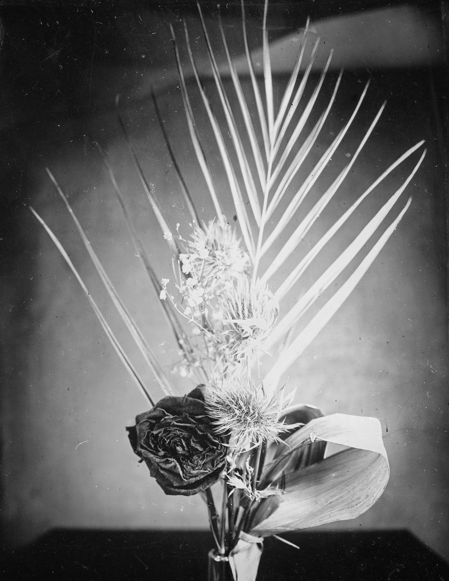 2024 10 06 co bouquets de fleurs sechees 195545