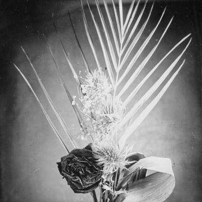 2024 10 06 co bouquets de fleurs sechees 195545