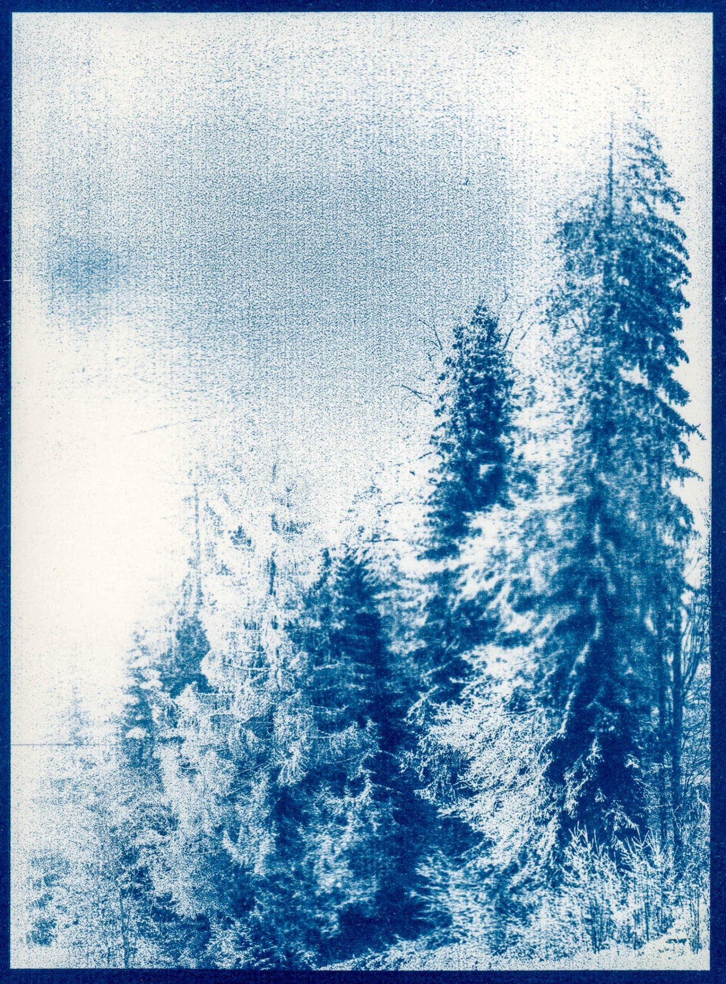Untitled 2 