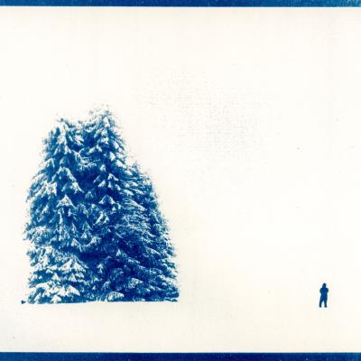 Cyanotypes